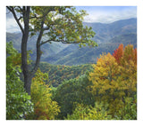 Deciduous Forest In Autumn, Blue Ridge Parkway, North Carolina-Paper Art-24,,X21.36,,