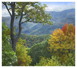 Deciduous Forest In Autumn, Blue Ridge Parkway, North Carolina-Paper Art-42,,X37.2,,