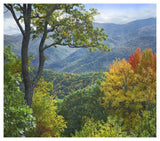 Deciduous Forest In Autumn, Blue Ridge Parkway, North Carolina-Paper Art-46,,X40.72,,