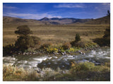 River Flowing Though Meadow, Yellowstone National Park, Wyoming-Paper Art-42,,X32,,