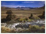 River Flowing Though Meadow, Yellowstone National Park, Wyoming-Paper Art-50,,X38,,