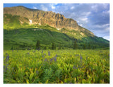 Gothic Mountain Overlooking Meadow Near Crested Butte, Colorado-Paper Art-18,,X14,,