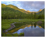Pond And Boreal Forest, Ruby Range Near Crested Butte, Colorado-Paper Art-37,,X30,,