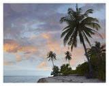 Coconut Palm Trees, Pamilacan Island, Bohol Island, Philippines-Paper Art-18,,X14,,