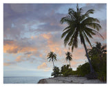Coconut Palm Trees, Pamilacan Island, Bohol Island, Philippines-Paper Art-34,,X26,,