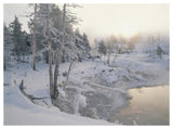 Upper Geyser Basin In Winter, Yellowstone National Park, Wyoming-Paper Art-50,,X38,,