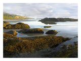 Seaweed Covered Rocks Exposed At Low Tide, Neptune Beach, Oregon-Paper Art-26,,X20,,