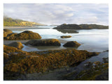 Seaweed Covered Rocks Exposed At Low Tide, Neptune Beach, Oregon-Paper Art-34,,X26,,