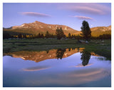 Mount Dana Reflected In Pond, Yosemite National Park, California-Paper Art-42,,X32,,