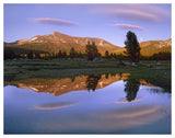 Mount Dana Reflected In Pond, Yosemite National Park, California-Paper Art-50,,X38,,