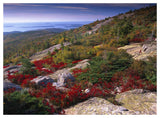 Atlantic Coast From Cadillac Mountain, Acadia National Park, Maine-Paper Art-50,,X38,,