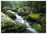 Roaring Fork River, Great Smoky Mountains National Park, Tennessee-Paper Art-50,,X38,,