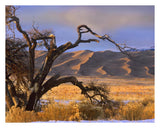 Grasslands And Dunes, Great Sand Dunes National Monument, Colorado-Paper Art-30,,X24,,