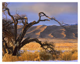 Grasslands And Dunes, Great Sand Dunes National Monument, Colorado-Paper Art-37,,X30,,