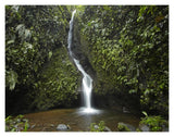 Waterfall In The Milpe Bird Sanctuary, Mindo Cloud Forest, Ecuador-Paper Art-18,,X14,,