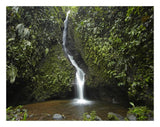Waterfall In The Milpe Bird Sanctuary, Mindo Cloud Forest, Ecuador-Paper Art-26,,X20,,