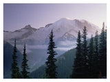 Mt Rainier As Seen At Sunrise, Mt Rainier National Park, Washington-Paper Art-34,,X26,,