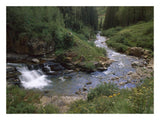 La Plata River, La Plata Canyon, San Juan National Forest, Colorado-Paper Art-26,,X20,,