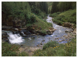 La Plata River, La Plata Canyon, San Juan National Forest, Colorado-Paper Art-50,,X38,,