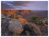 View From The Green River Overlook, Canyonlands National Park, Utah-Paper Art-50,,X38,,