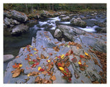 Little Pigeon River, Great Smoky Mountains National Park, Tennessee-Paper Art-34,,X26,,