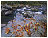 Little Pigeon River, Great Smoky Mountains National Park, Tennessee-Paper Art-42,,X32,,