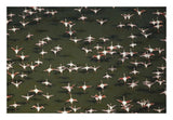 Aerial View Of A Mixed Flock Of Lesser Flamingo Group Kenya, Africa-Paper Art-26,,X18,,