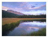 Dolomite Peak And Bow River Backwaters, Banff National Park, Alberta-Paper Art-26,,X20,,
