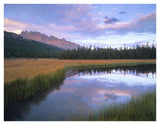 Dolomite Peak And Bow River Backwaters, Banff National Park, Alberta-Paper Art-42,,X32,,