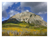 Marcellina Mountain And Aspen Forest In Raggeds Wilderness, Colorado-Paper Art-26,,X20,,