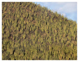 Organ Pipe Cactus Cluster Covering Hillside, Guaymas, Sonora, Mexico-Paper Art-42,,X32,,