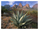 Chisos Agave And The Chisos Mountains, Big Bend National Park, Texas-Paper Art-18,,X14,,