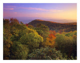 Blue Ridge Mountains With Deciduous Forests In Autumn, North Carolina-Paper Art-26,,X20,,
