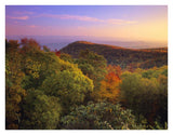 Blue Ridge Mountains With Deciduous Forests In Autumn, North Carolina-Paper Art-34,,X26,,