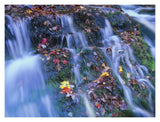 Laurel Creek Cascades, Great Smoky Mountains National Park, Tennessee-Paper Art-18,,X14,,