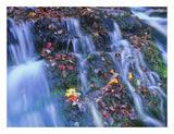 Laurel Creek Cascades, Great Smoky Mountains National Park, Tennessee-Paper Art-26,,X20,,