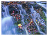 Laurel Creek Cascades, Great Smoky Mountains National Park, Tennessee-Paper Art-34,,X26,,