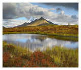 Pond And Ogilvie Mountains, Tombstone Territorial Park, Yukon, Canada-Paper Art-32,,X27.8,,