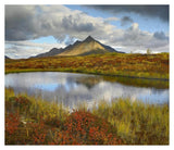 Pond And Ogilvie Mountains, Tombstone Territorial Park, Yukon, Canada-Paper Art-38,,X32.96,,