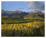Quaking Aspen Forest And Mount Sneffels, San Juan Mountains, Colorado-Paper Art-38,,X31.88,,