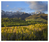 Quaking Aspen Forest And Mount Sneffels, San Juan Mountains, Colorado-Paper Art-42,,X35.2,,