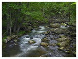 Little Stony Creek Flowing Through Jefferson National Forest, Virginia-Paper Art-42,,X32,,