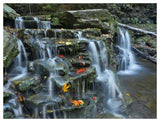 Kitchen Creek Cascades, Autumn, Ricketts Glen State Park, Pennsylvania-Paper Art-50,,X38,,