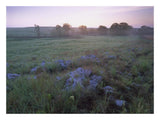 Misty Morning Over Prairie, Tallgrass Prairie National Preserve, Kansas-Paper Art-26,,X20,,