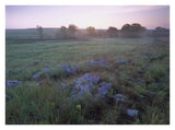 Misty Morning Over Prairie, Tallgrass Prairie National Preserve, Kansas-Paper Art-34,,X26,,