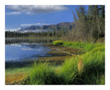 Nutzotin Mountains And Boreal Forest Reflected In Receding Lake, Alaska-Paper Art-22,,X18,,