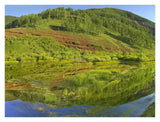 Rico Mountains Reflected In Dolores River Backwater Near Rico, Colorado-Paper Art-34,,X26,,