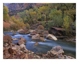 Virgin River Flowing Through Canyon In Autumn, Zion National Park, Utah-Paper Art-26,,X20,,
