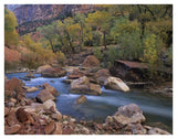 Virgin River Flowing Through Canyon In Autumn, Zion National Park, Utah-Paper Art-42,,X32,,