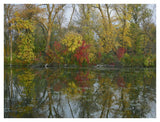 Autumn Reflection On Marsh'S Lake, Spruce Woods Provincial Park, Canada-Paper Art-42,,X32,,